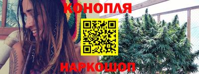 стафф Заводоуковск