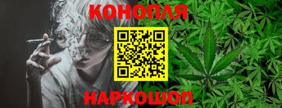стафф Заводоуковск