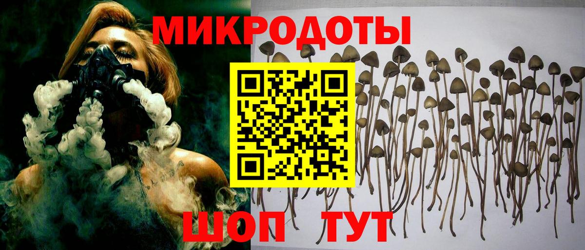Мичуринск  Псилоцибиновые грибы Psilocybine cubensis  Вход с VPN 